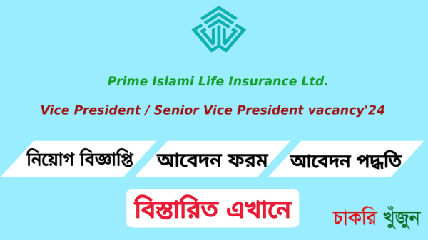 Vice President / Senior Vice President vacancy'24